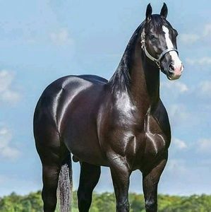 Meet your Posher, Jaime